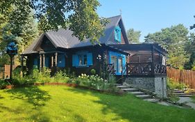 Niezapominajka